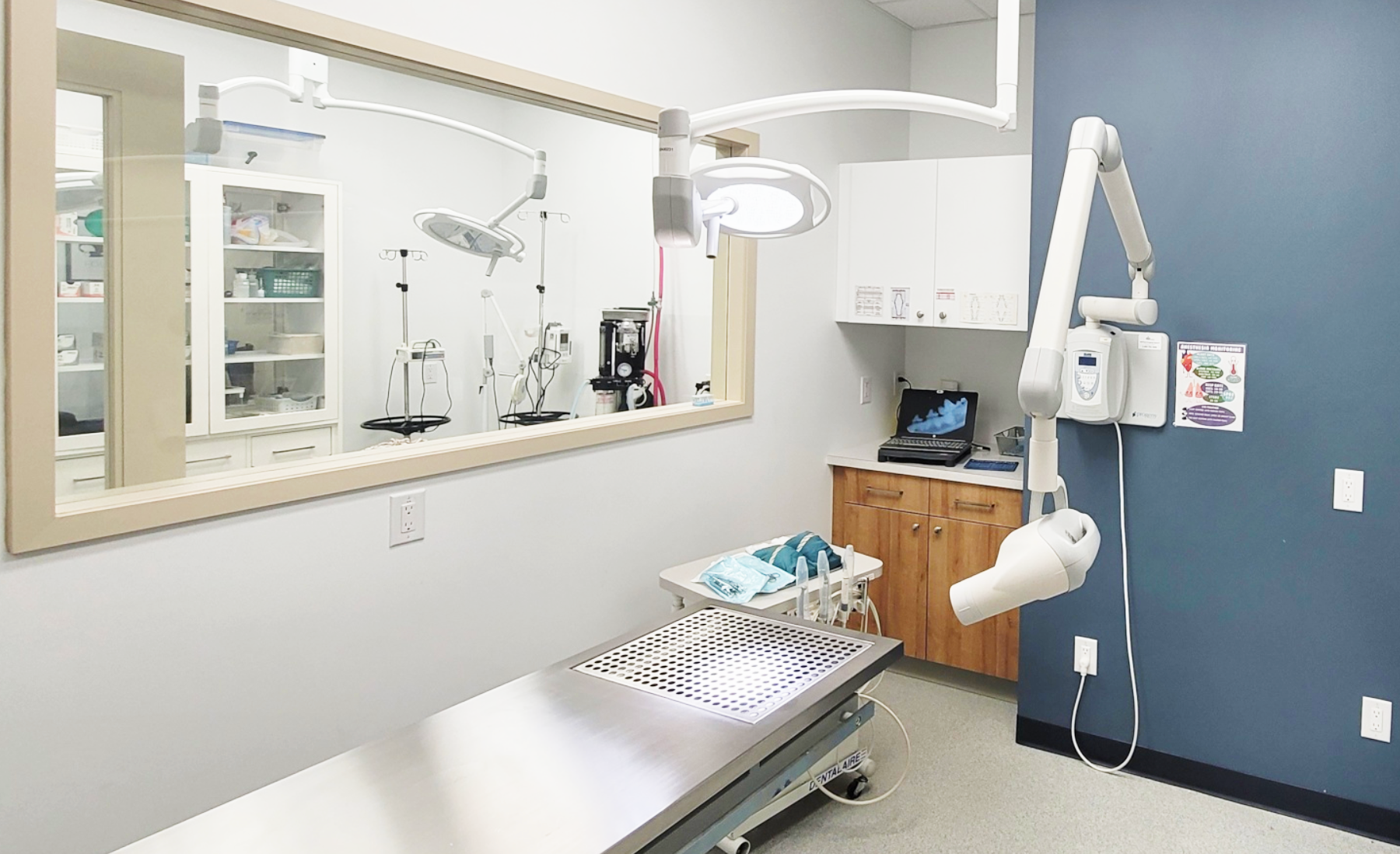Dental Suite